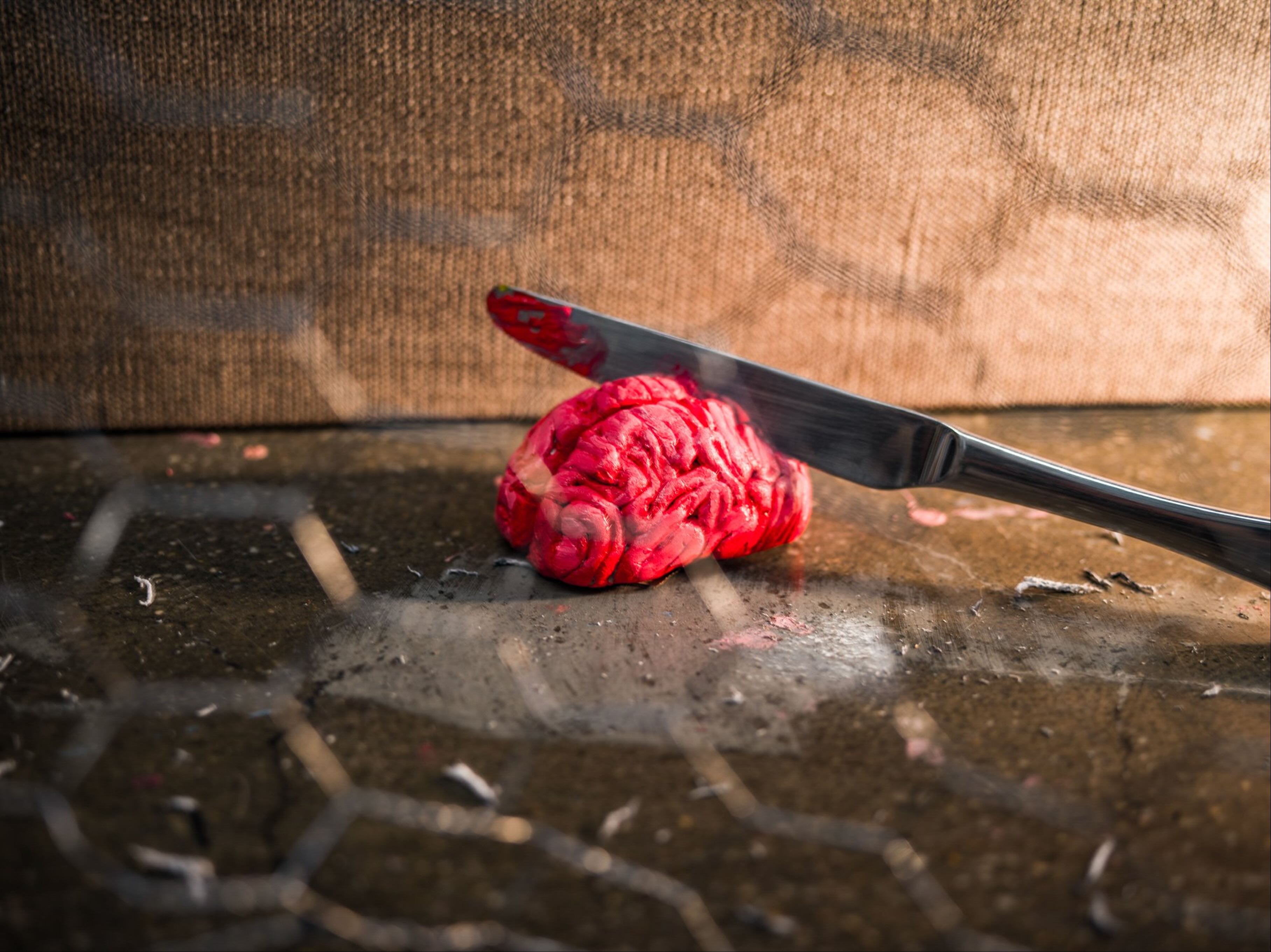 Visual Cortex 2 photography